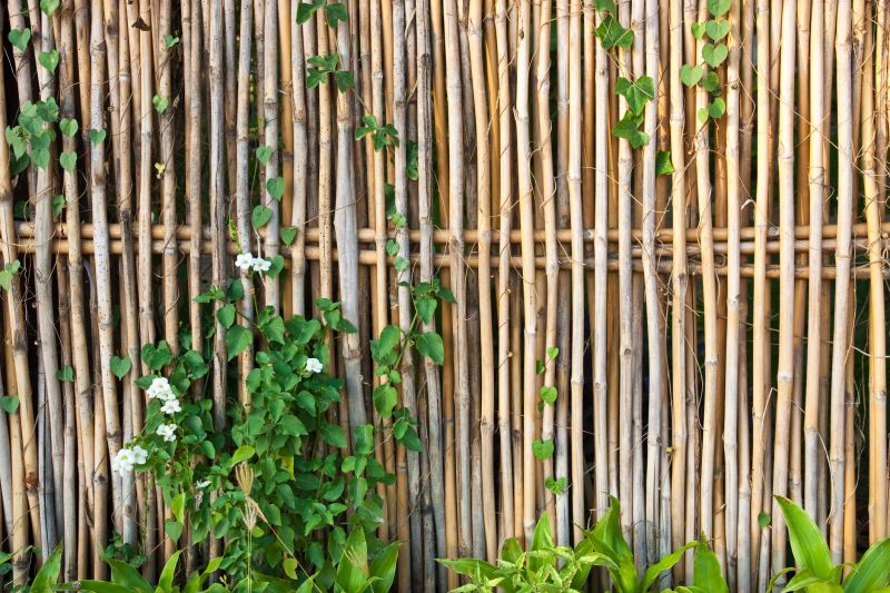 Bamboo Decorative Fence